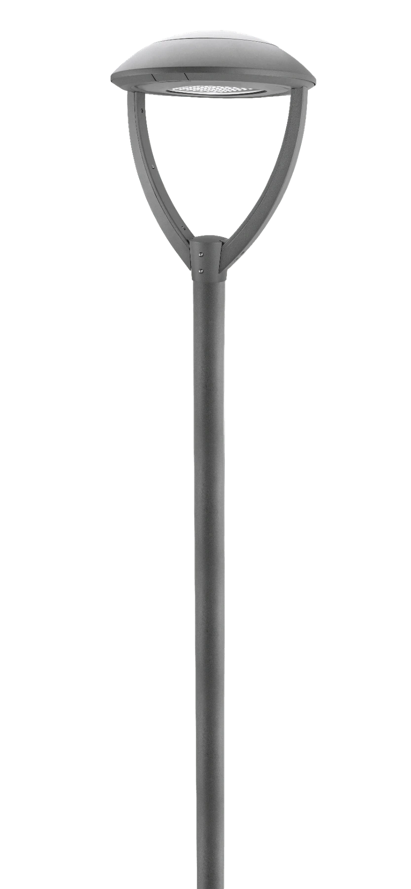 NEWTON Medium